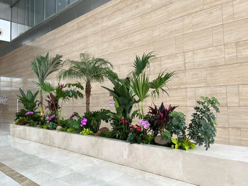 北仑盆景出租价格实惠